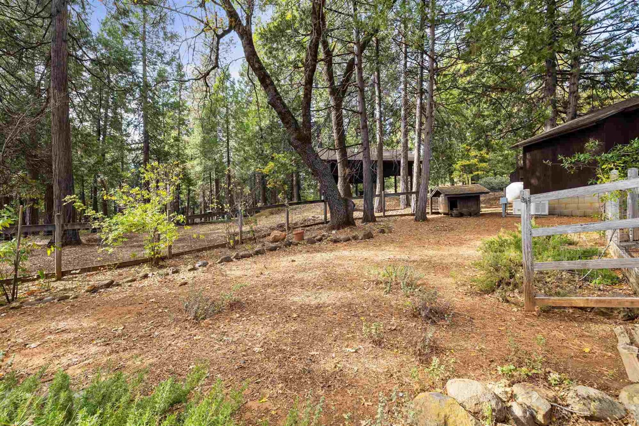 25833 Lyons Dam Road Twain Harte, CA 95383 - Photo 38 of 60 a view of a tree in the middle of a yard