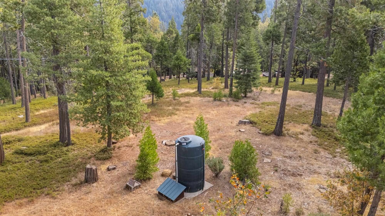 25833 Lyons Dam Road Twain Harte, CA 95383 - Photo 59 of 60 a view of a pathway with a fountain