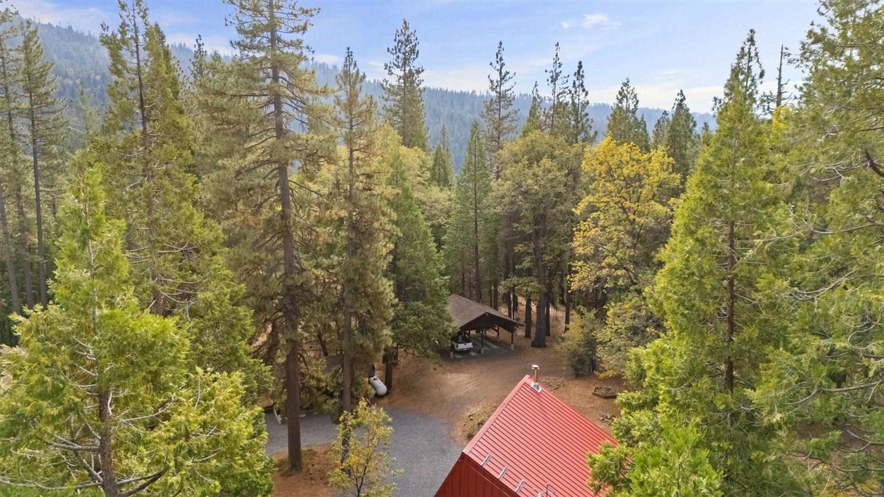 25833 Lyons Dam Road Twain Harte, CA 95383 - Photo 60 of 60 a view of a city with plants and trees