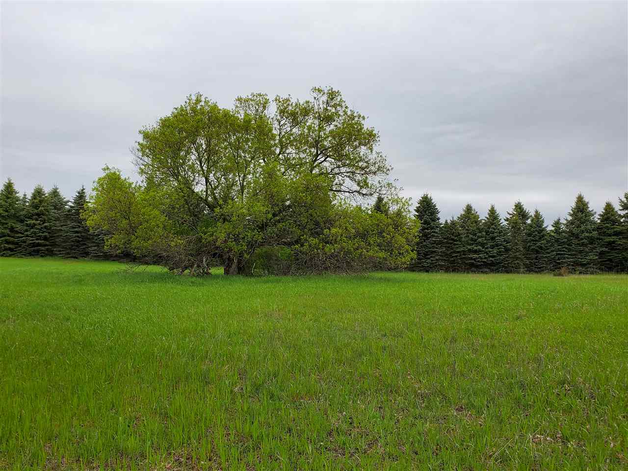 21074 Dougherty Road Copemish, MI 49625 - Photo 12 of 43 1855852-11.JPG