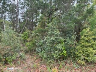7117 Snug Waters Road Navarre, FL 32566 - Photo 3 of 14 Land