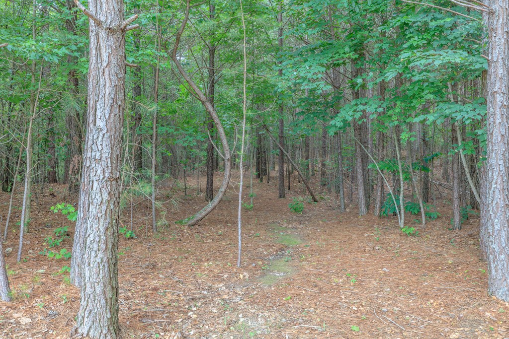 508 Chattanooga Road Cohutta, GA 30710 - Photo 66 of 77 Gallery Image 66