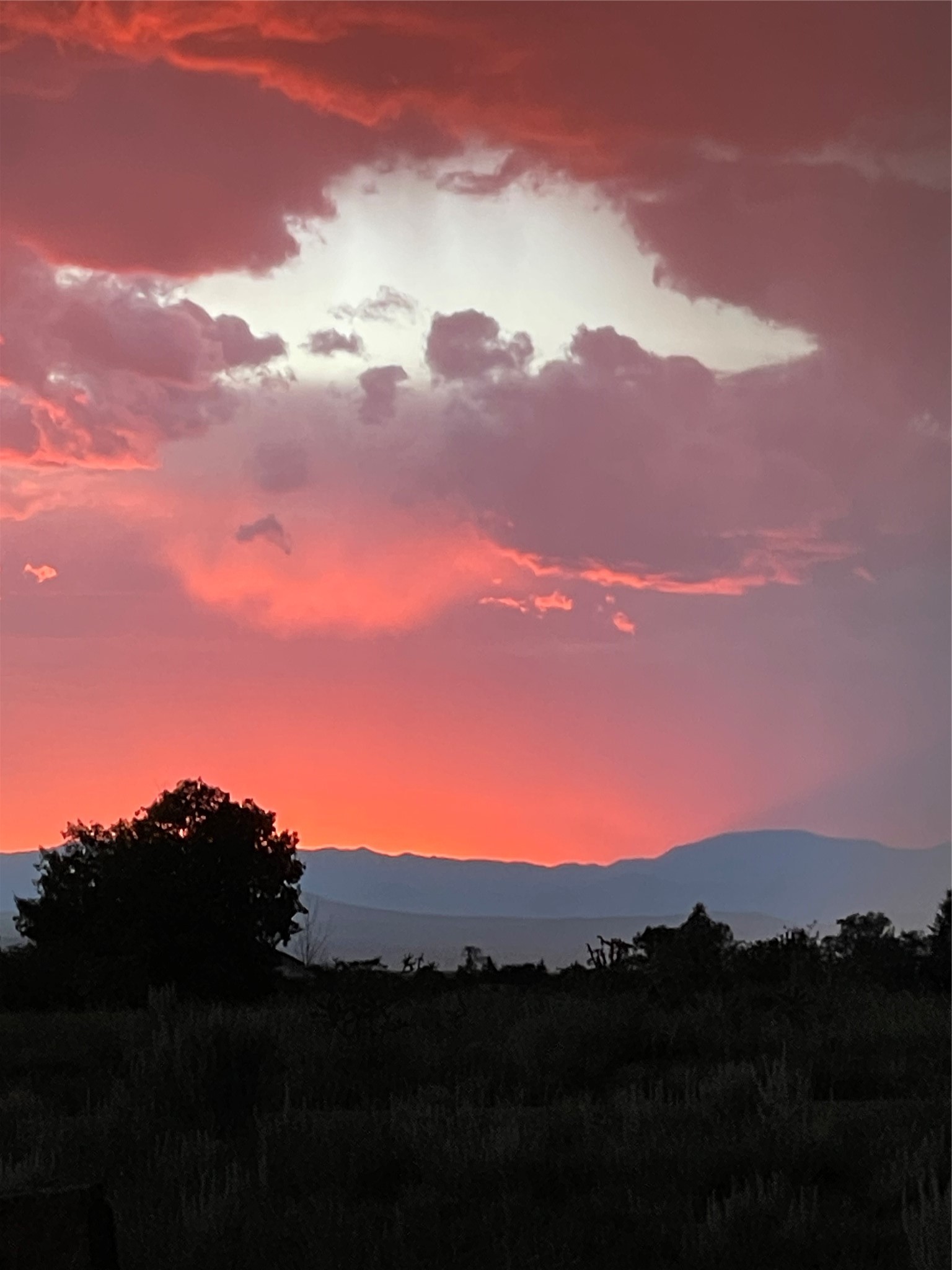 11 Descanso Road Santa Fe, NM 87508 - Photo 46 of 51