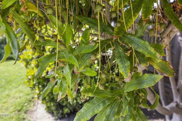 $1,200,000 | 9417-9419 Petit Court, Ventura, CA 93004