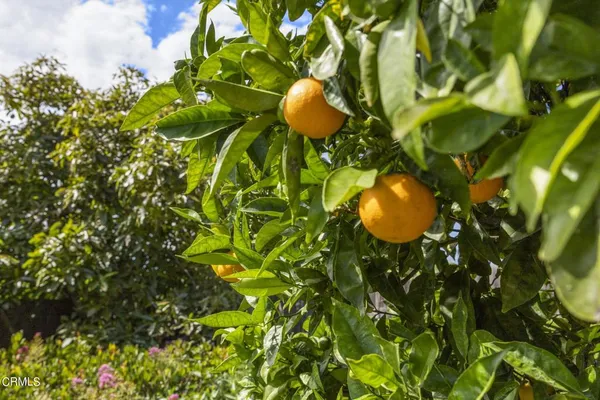 $1,200,000 | 9417-9419 Petit Court, Ventura, CA 93004