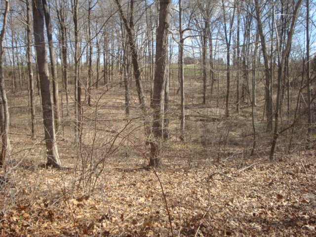 4757 South Cauble Road Salem, IN 47167 - Photo 26 of 28