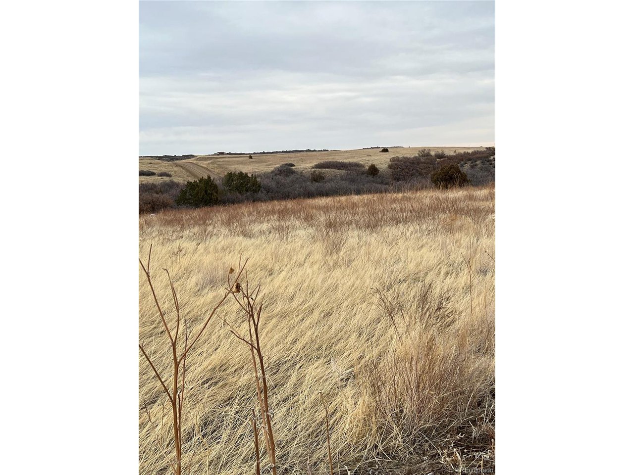 126 Rio Vista Rye, CO 81069 - Photo 5 of 8 a view of sky from window