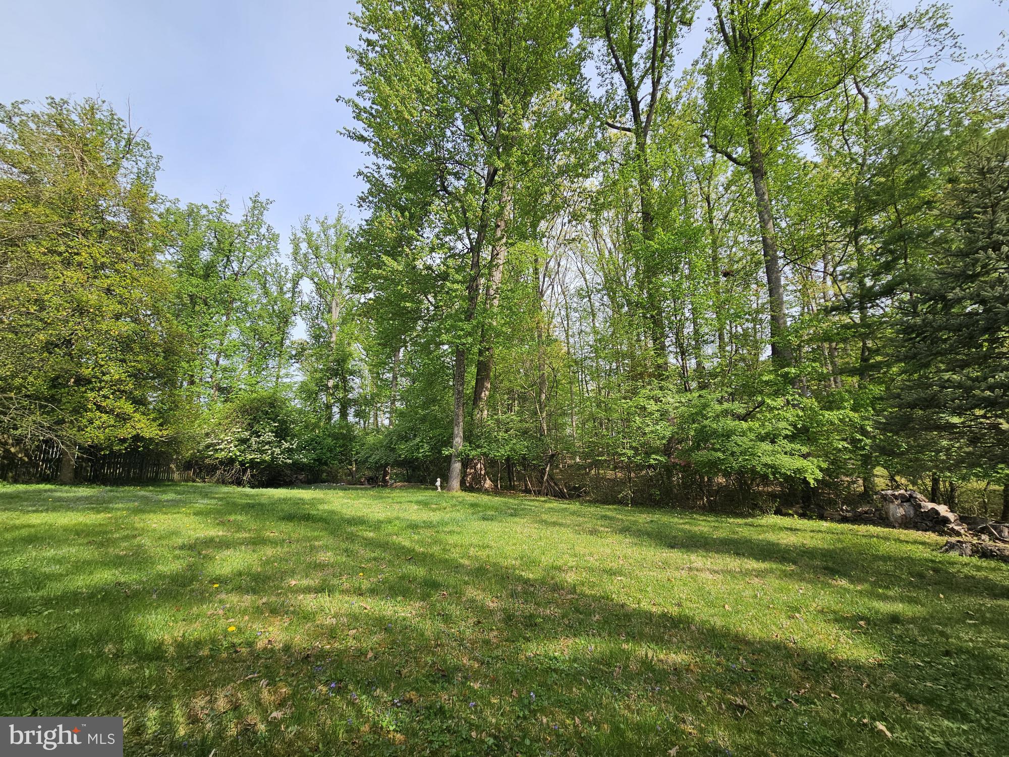 117 Kingsley Road Southwest Vienna, VA 22180 - Photo 3 of 4 Lush green oasis in tranquil woods.