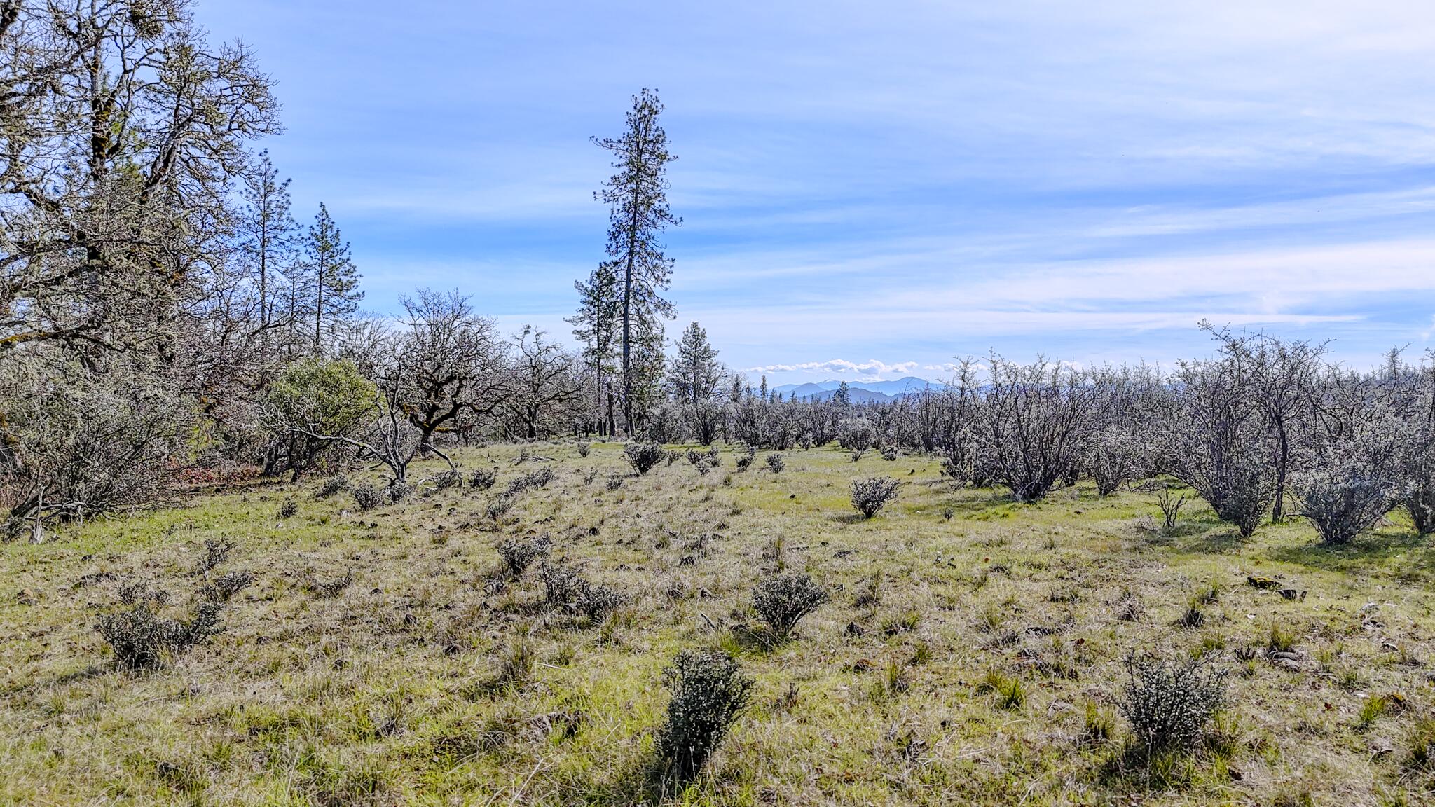 506 Greenleaf Drive Eagle Point, OR 97524 - Photo 29 of 38 DJI_20260227141302_0571_D-HDR