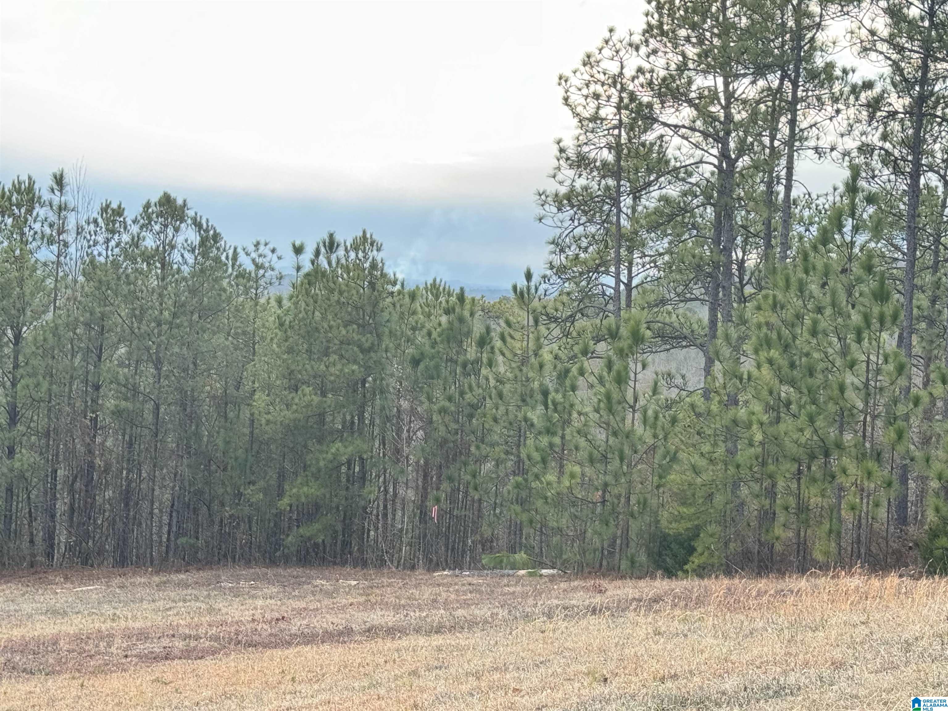 223 Mountain Ridge Road, Unit 65A AND 66A Oxford, AL 36203 - Photo 34 of 37 Gallery Image 34