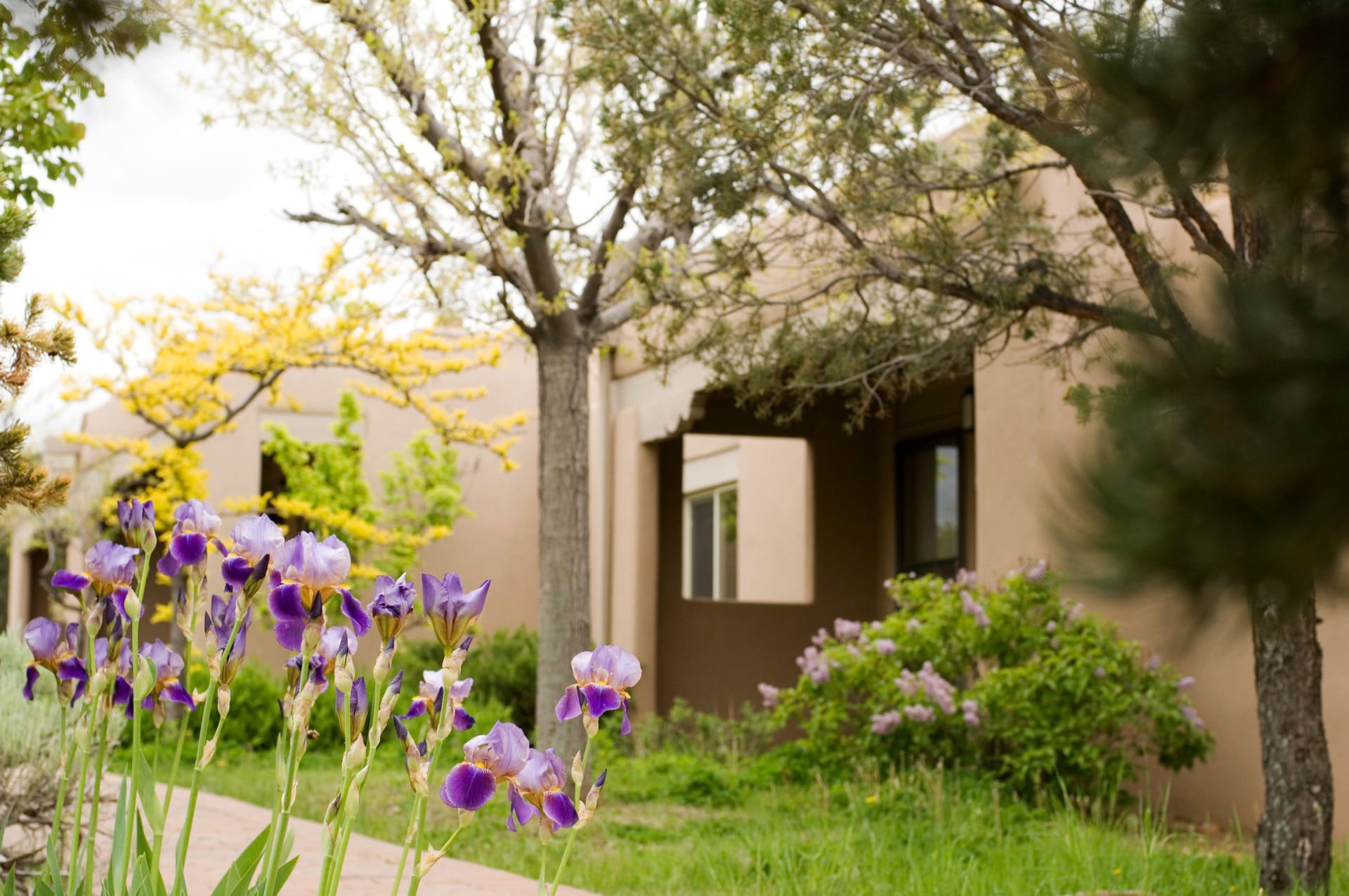 320 Artist Road, Unit 54 Santa Fe, NM 87501 - Photo 23 of 28