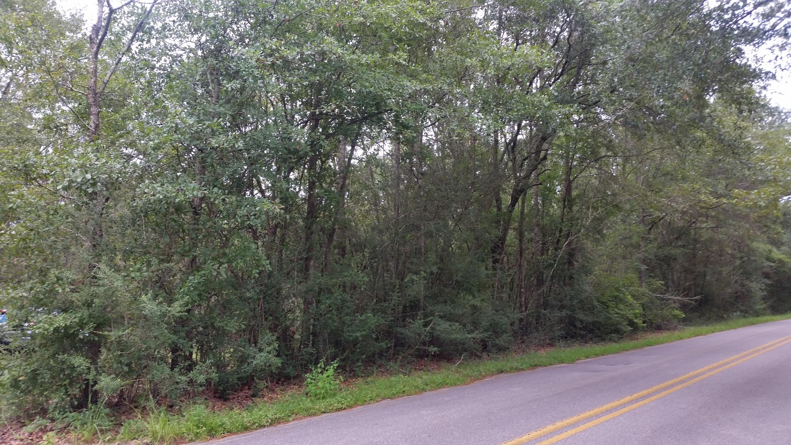 46-acres Punch Bowl Road DeFuniak Springs, FL 32433 - Photo 8 of 30 Paved Road