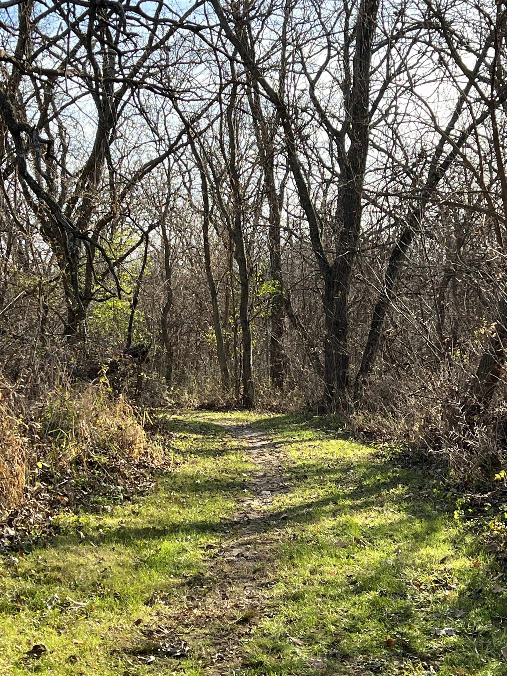 14190 West Goldmine Road Pearl City, IL 61062 - Photo 32 of 53