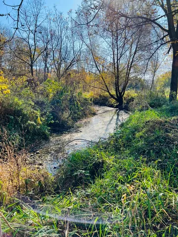 $439,000 | 14190 West Goldmine Road, Pearl City, IL 61062