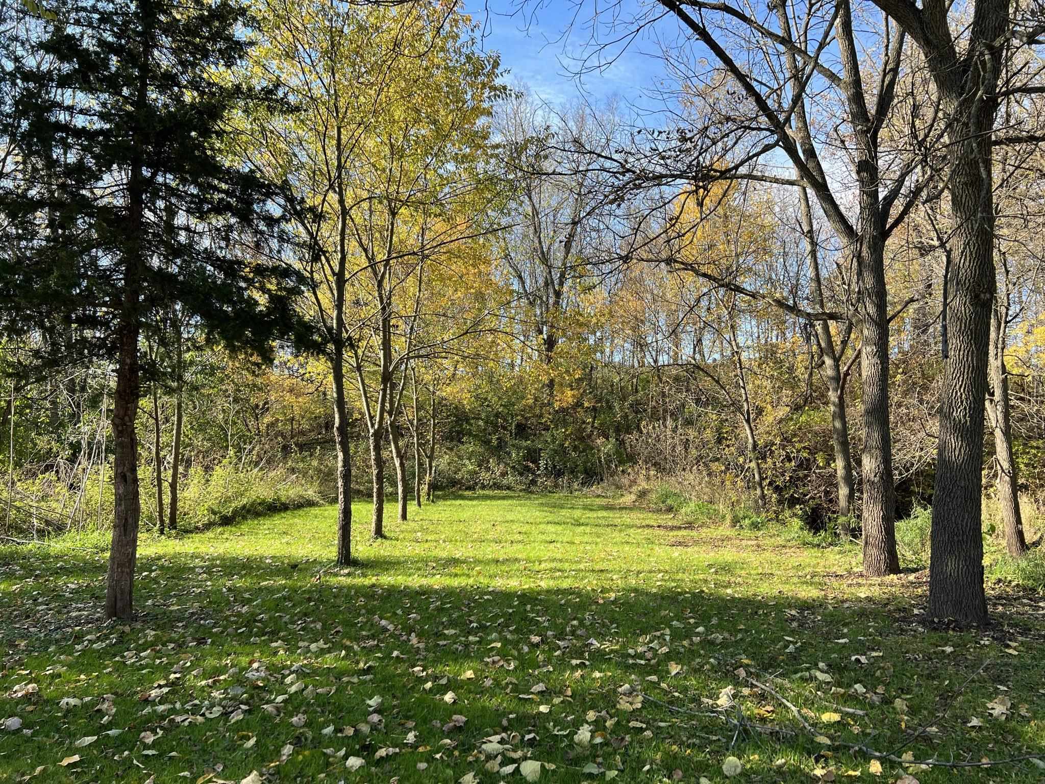 14190 West Goldmine Road Pearl City, IL 61062 - Photo 34 of 53