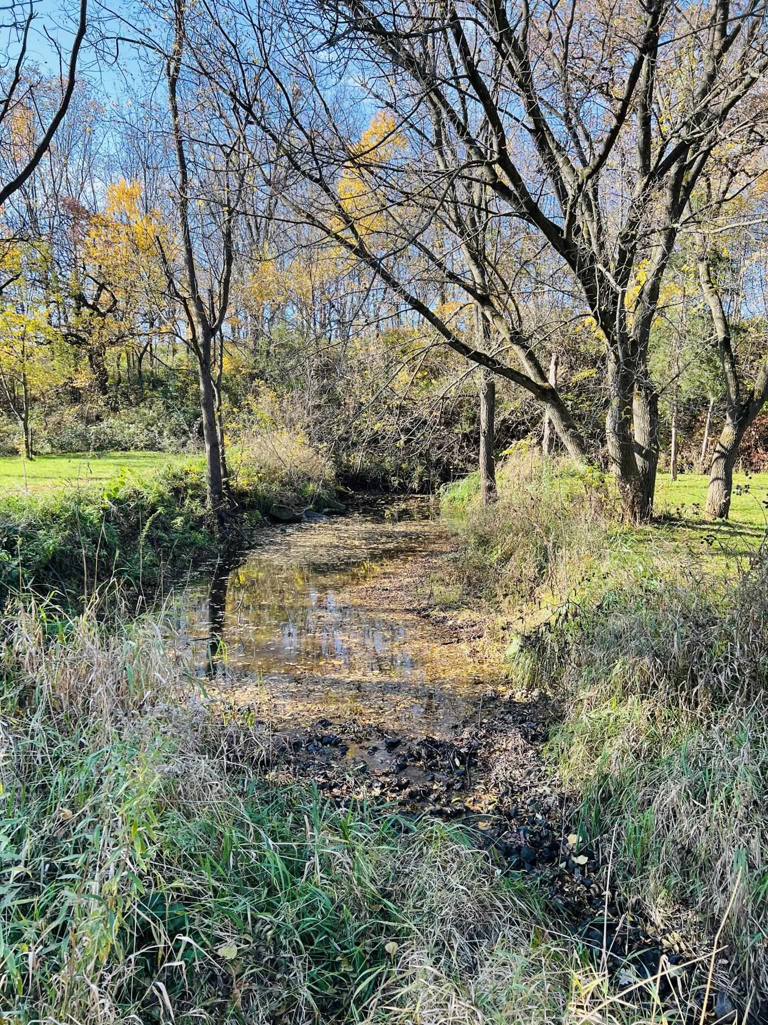 14190 West Goldmine Road Pearl City, IL 61062 - Photo 35 of 53