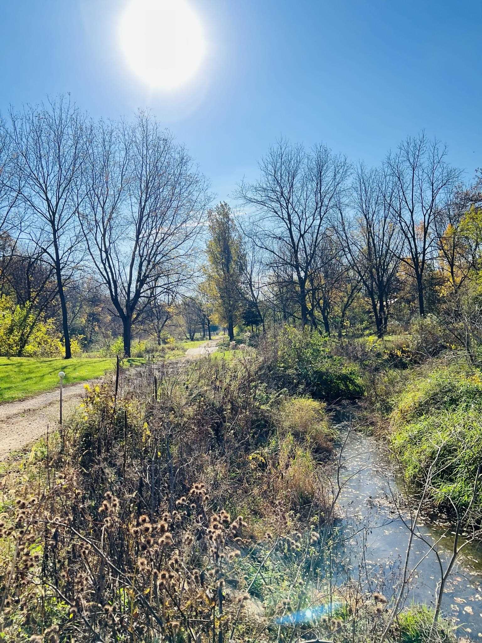 14190 West Goldmine Road Pearl City, IL 61062 - Photo 36 of 53