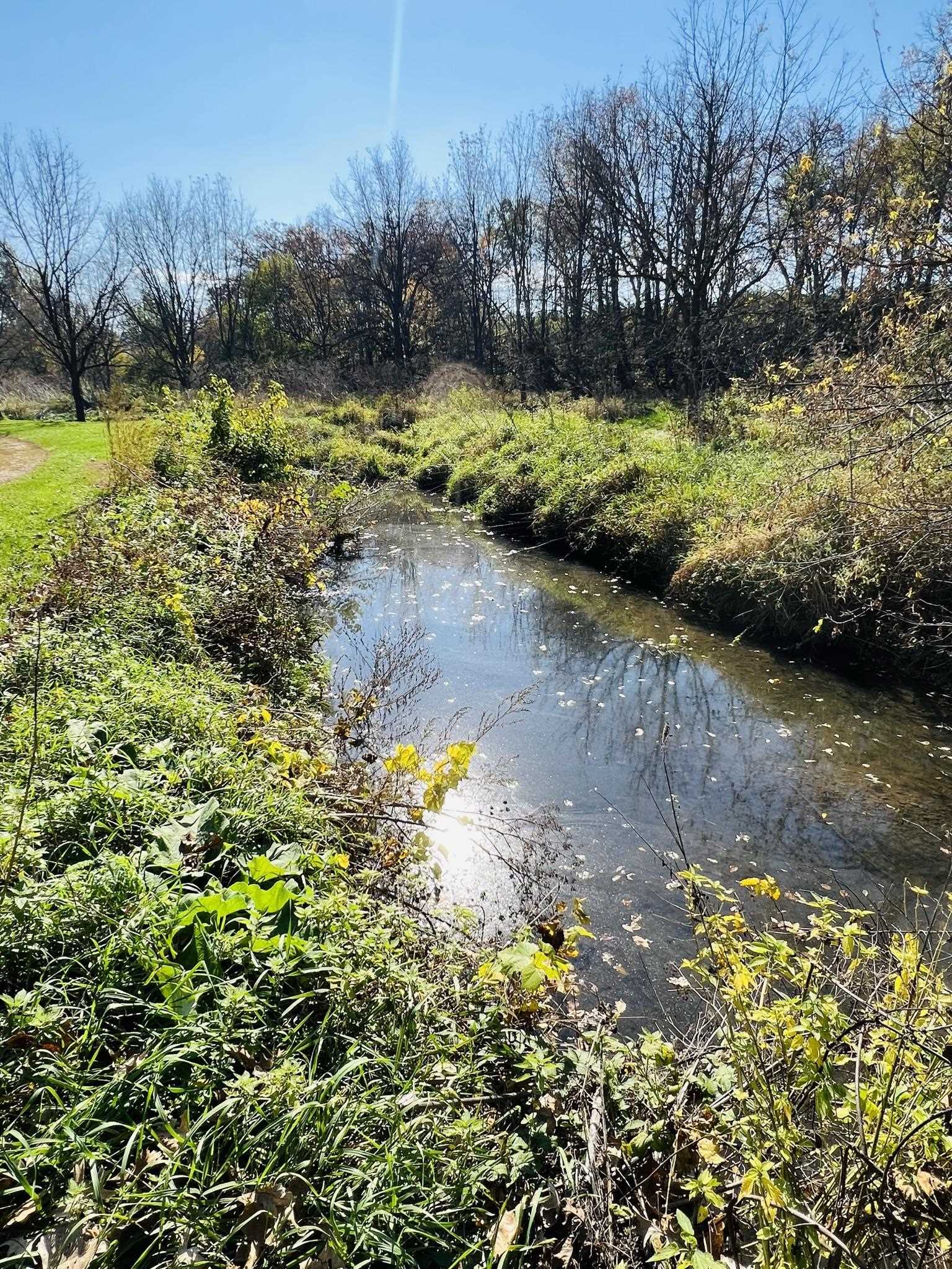 14190 West Goldmine Road Pearl City, IL 61062 - Photo 37 of 53