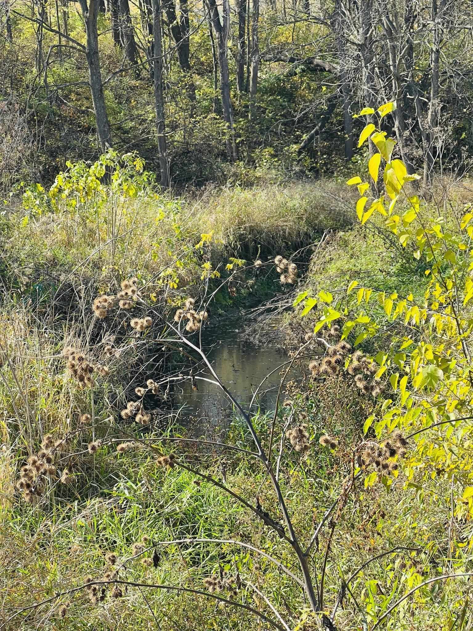 14190 West Goldmine Road Pearl City, IL 61062 - Photo 38 of 53