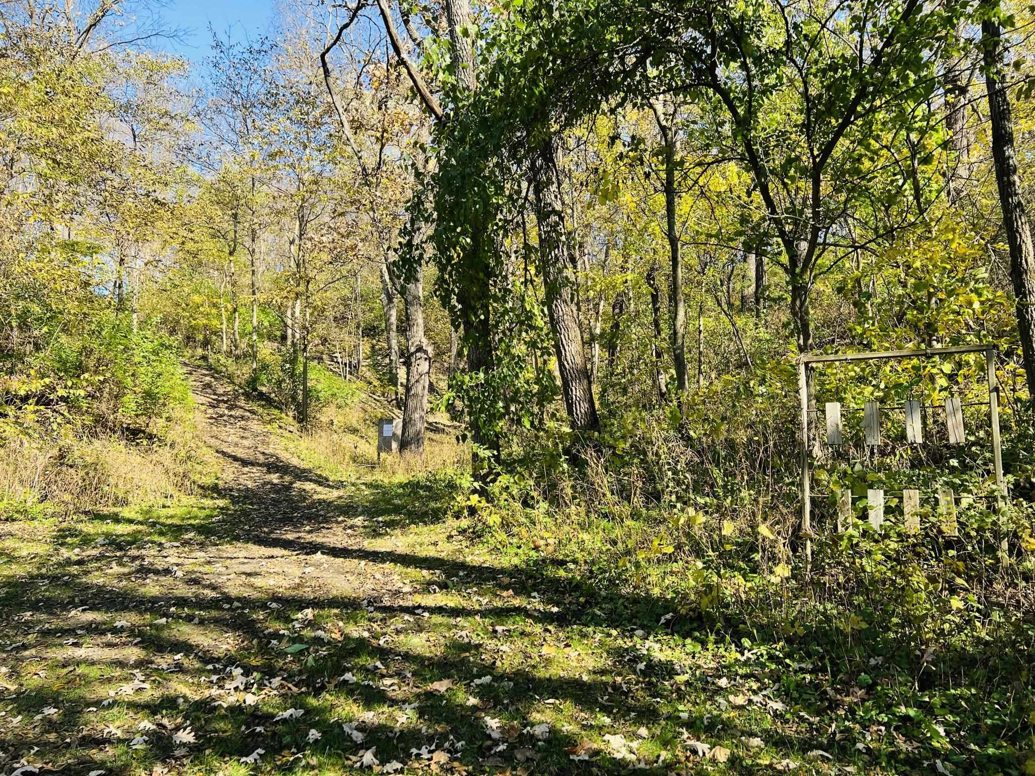 14190 West Goldmine Road Pearl City, IL 61062 - Photo 40 of 53