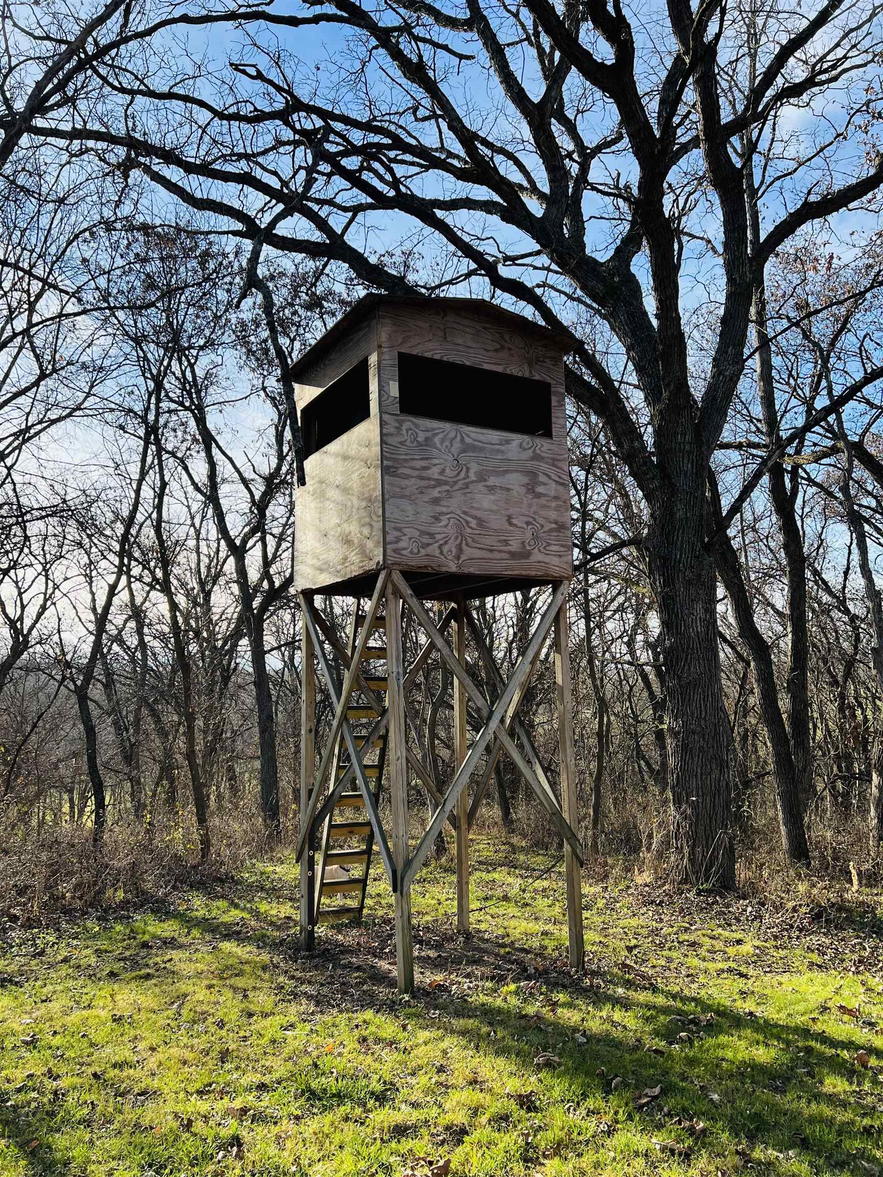 14190 West Goldmine Road Pearl City, IL 61062 - Photo 41 of 53