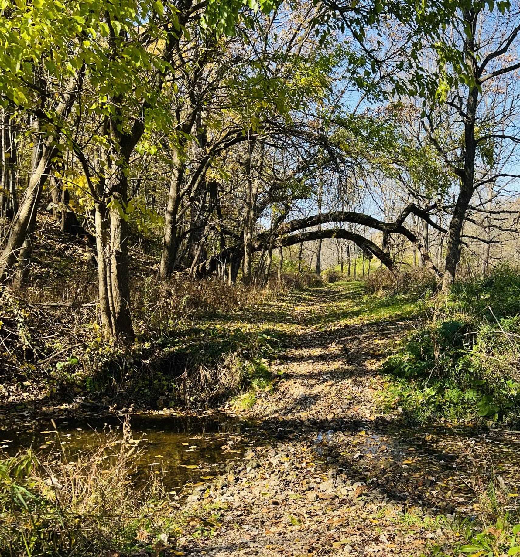 14190 West Goldmine Road Pearl City, IL 61062 - Photo 44 of 53