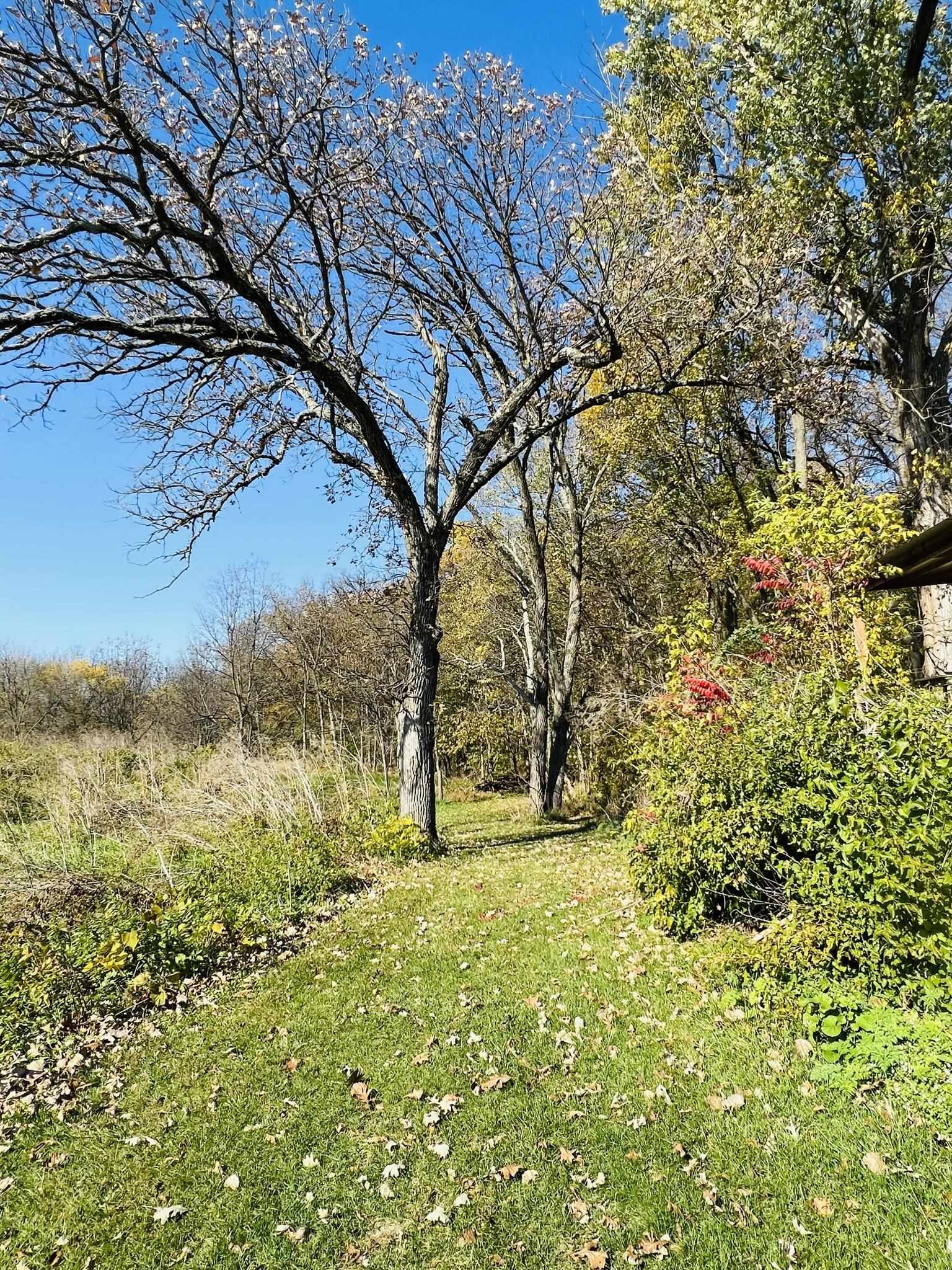 14190 West Goldmine Road Pearl City, IL 61062 - Photo 45 of 53