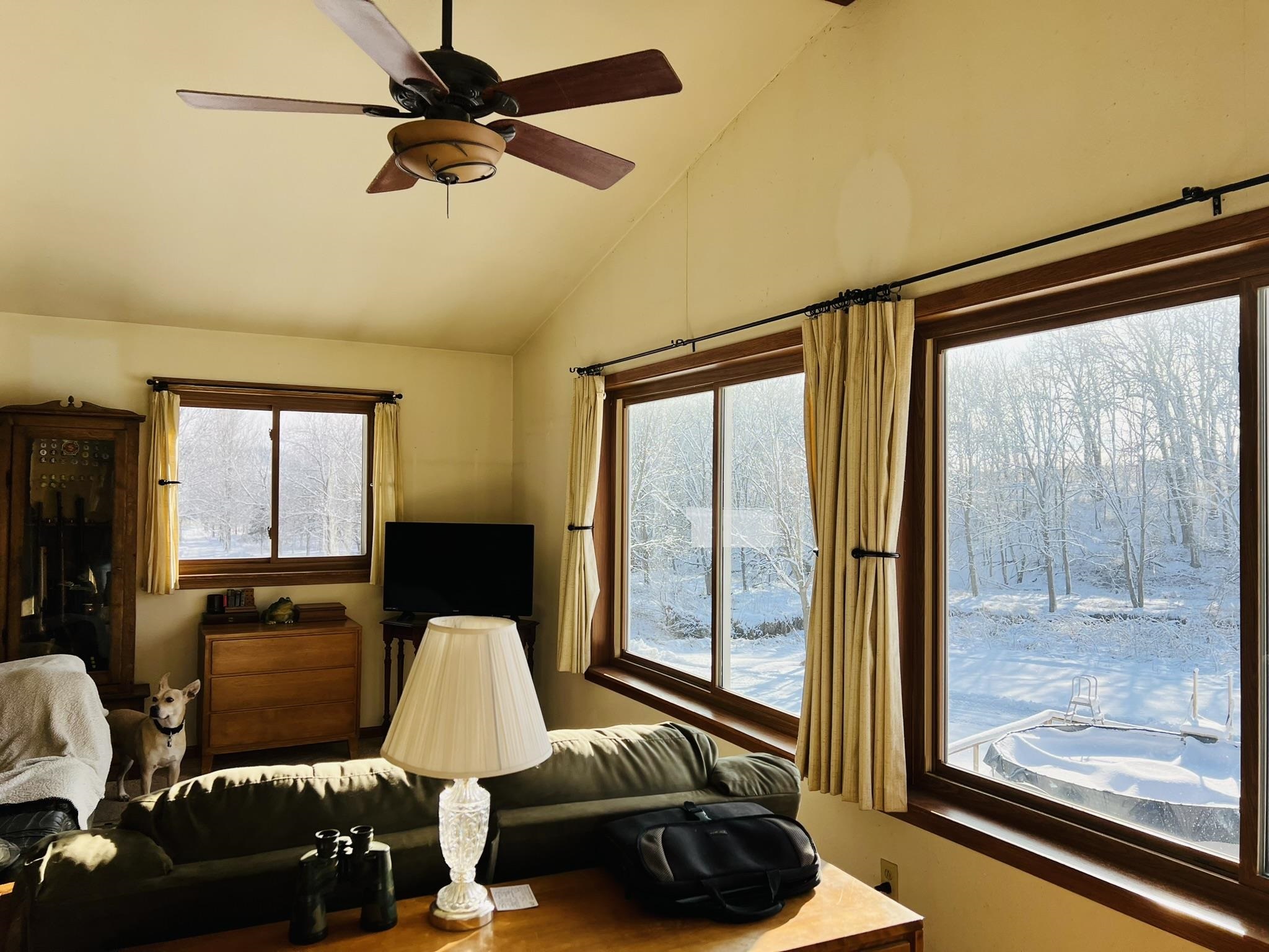 14190 West Goldmine Road Pearl City, IL 61062 - Photo 7 of 53