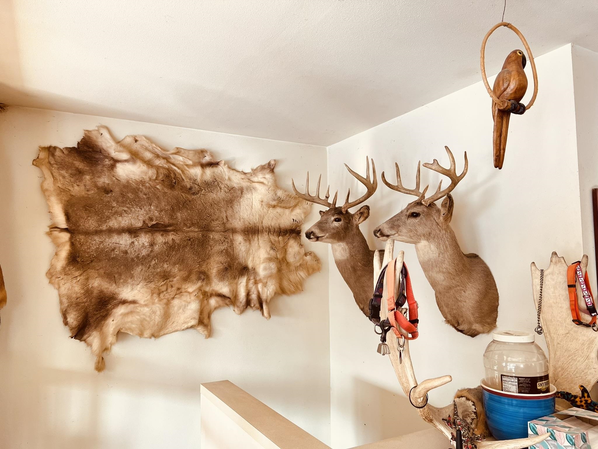 14190 West Goldmine Road Pearl City, IL 61062 - Photo 9 of 53