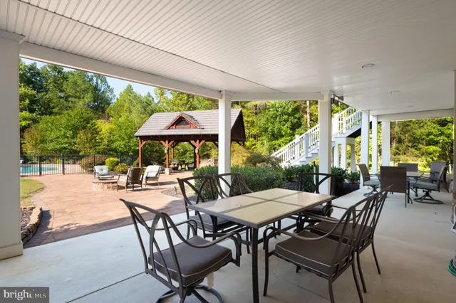 a view of a forest with a street