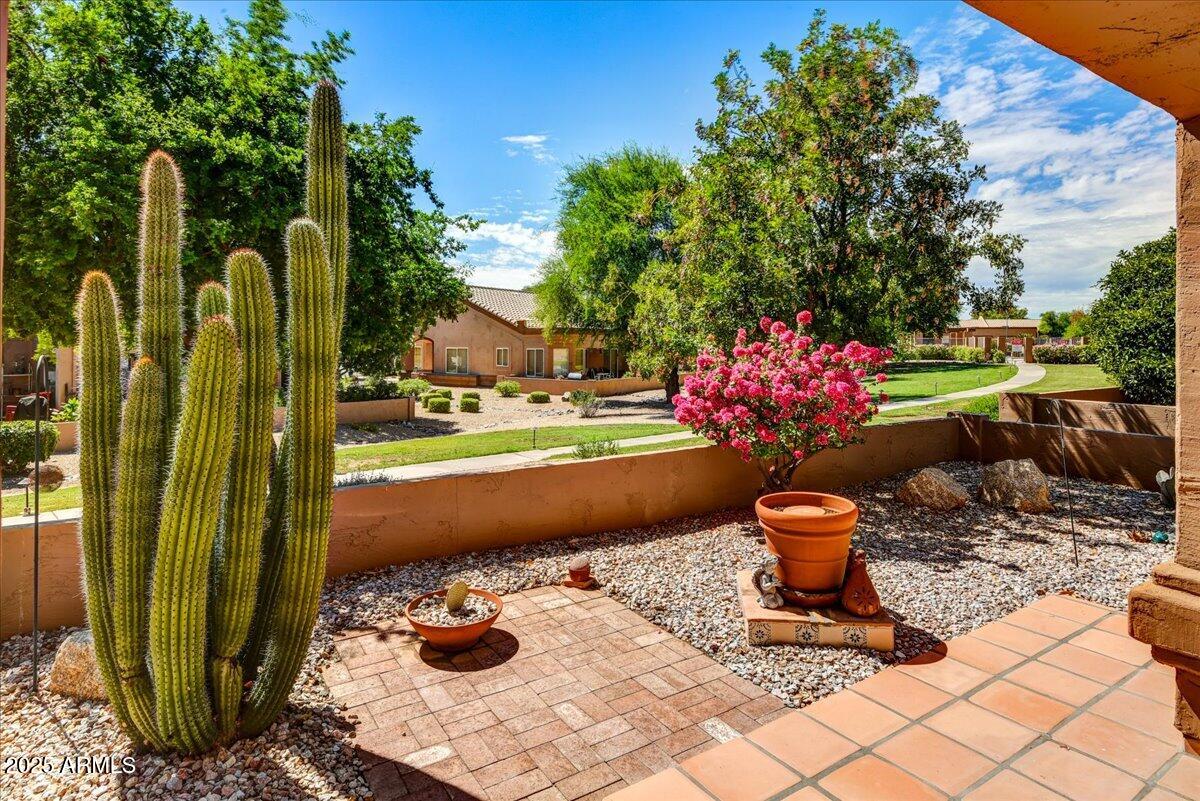 9013 West Marco Polo Road Peoria, AZ 85382 - Photo 18 of 30 a view of a porch with furniture and plants