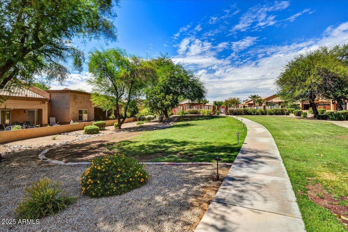 9013 West Marco Polo Road Peoria, AZ 85382 - Photo 19 of 30 a view of a park with plants and trees
