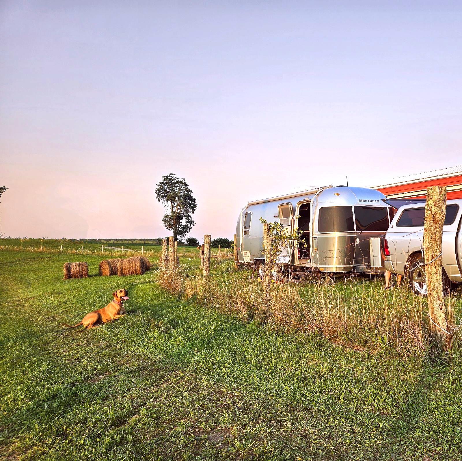 879 Stuart Road Southeast Copper Hill, VA 24079 - Photo 8 of 10 a backyard of a house with table and chairs