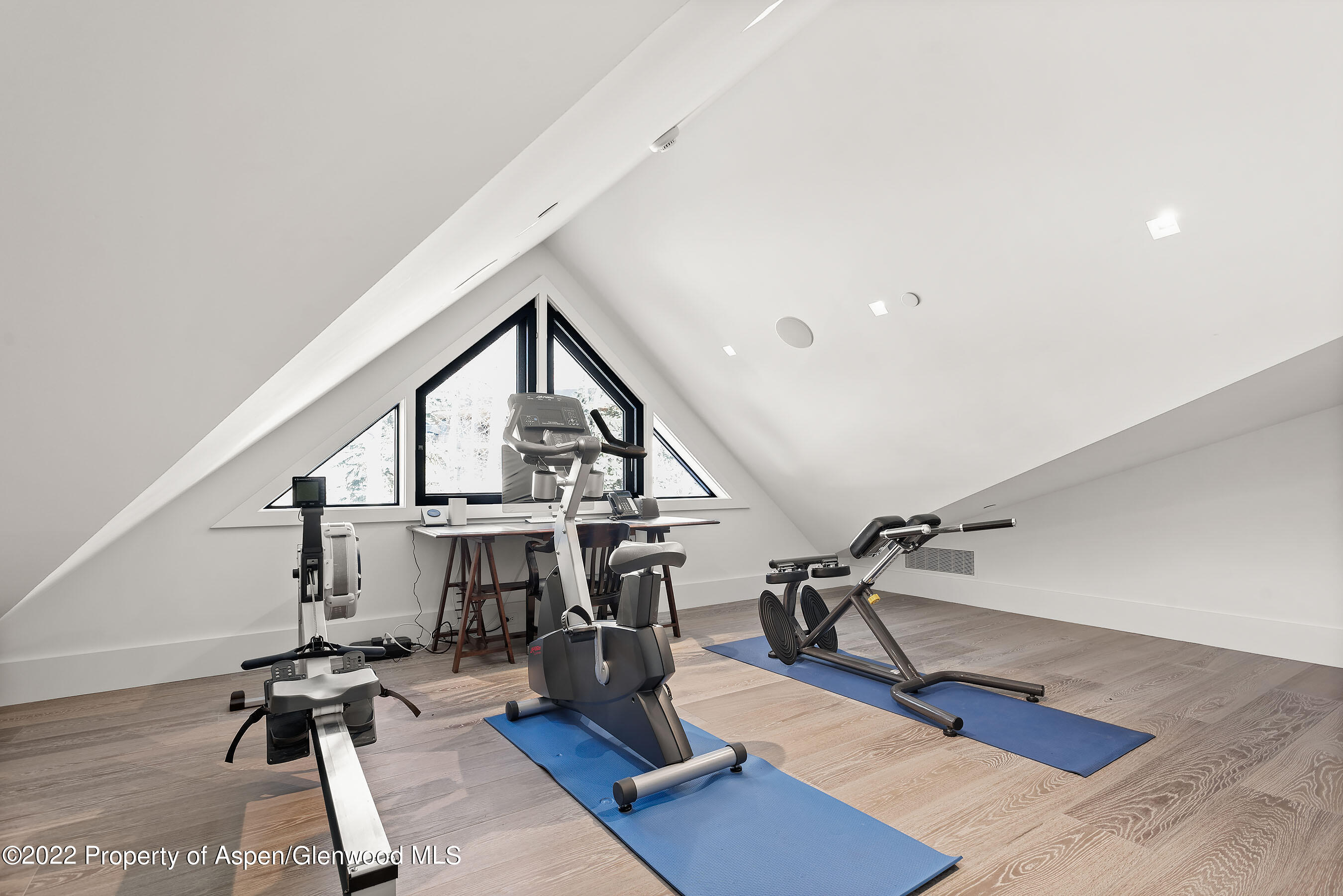 257 Ridge Road Aspen, CO 81612 - Photo 15 of 47 a view of entryway