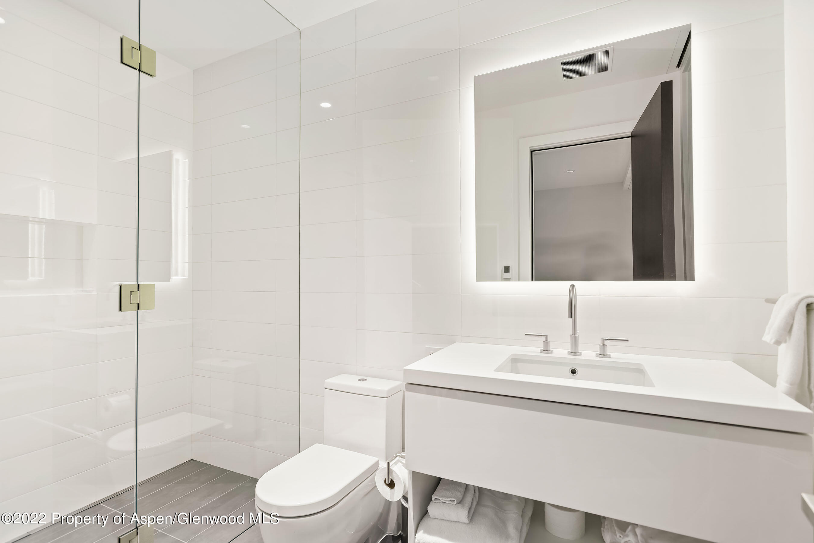 257 Ridge Road Aspen, CO 81612 - Photo 28 of 47 a bathroom with a toilet a sink and mirror