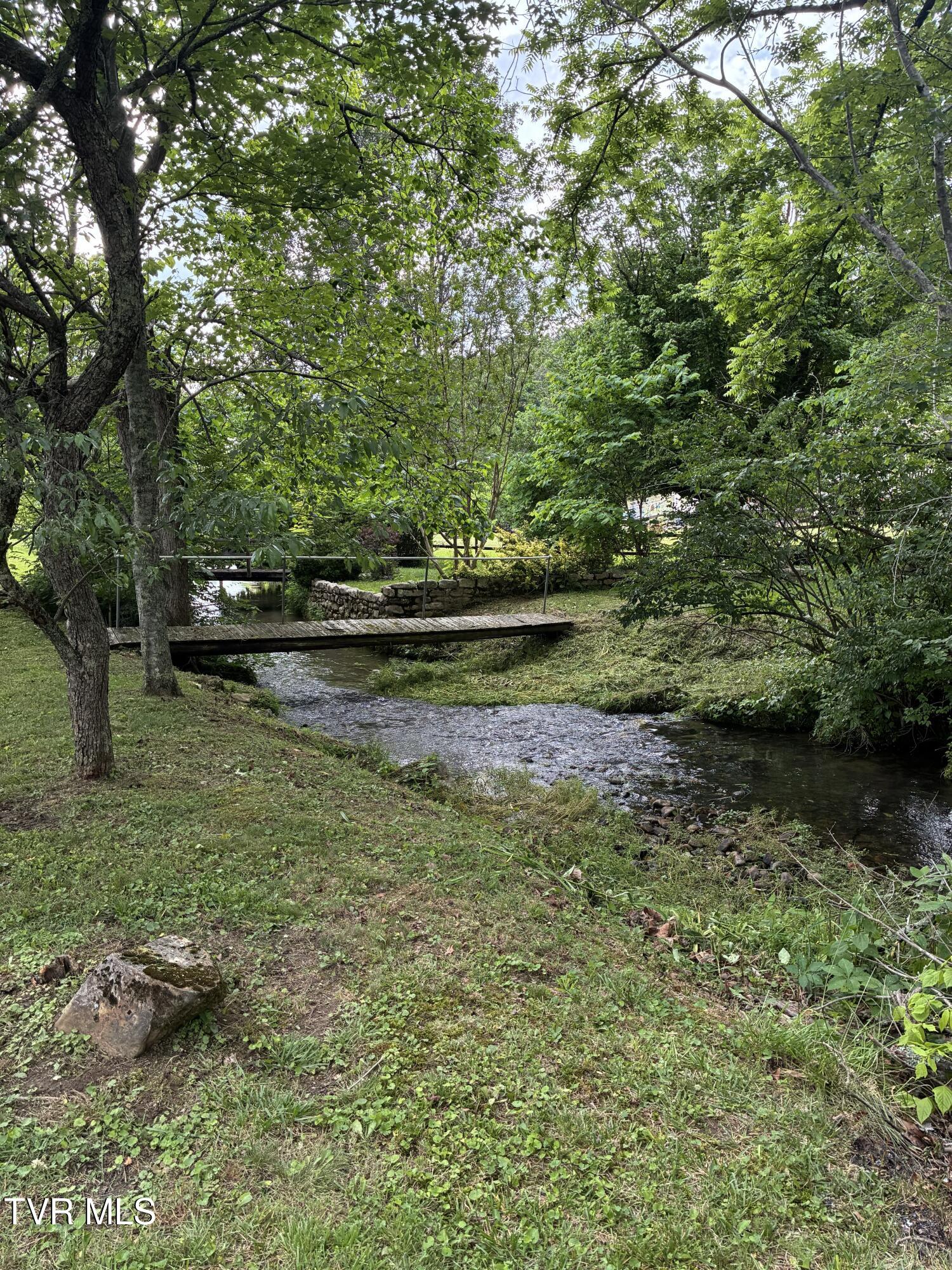 940 Middle Creek Road Afton, TN 37616 - Photo 13 of 80 Landscape 12