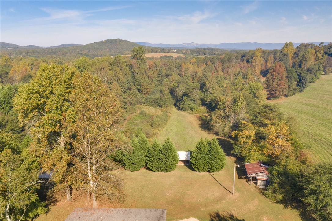 251 Breezedale Road Easley, SC 29640 - Photo 11 of 34