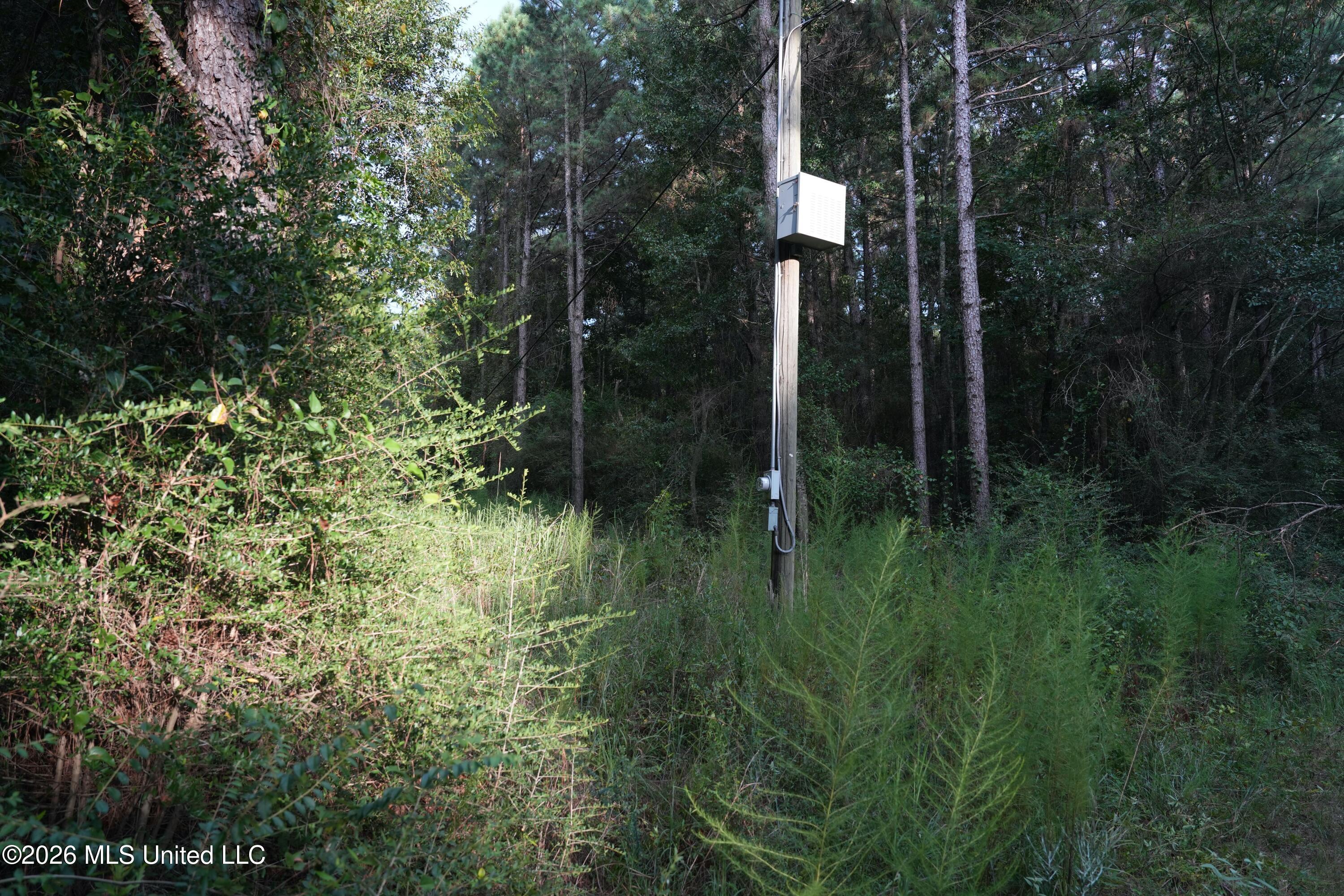 16 County Road Louin, MS 39338 - Photo 13 of 16 DSC04430