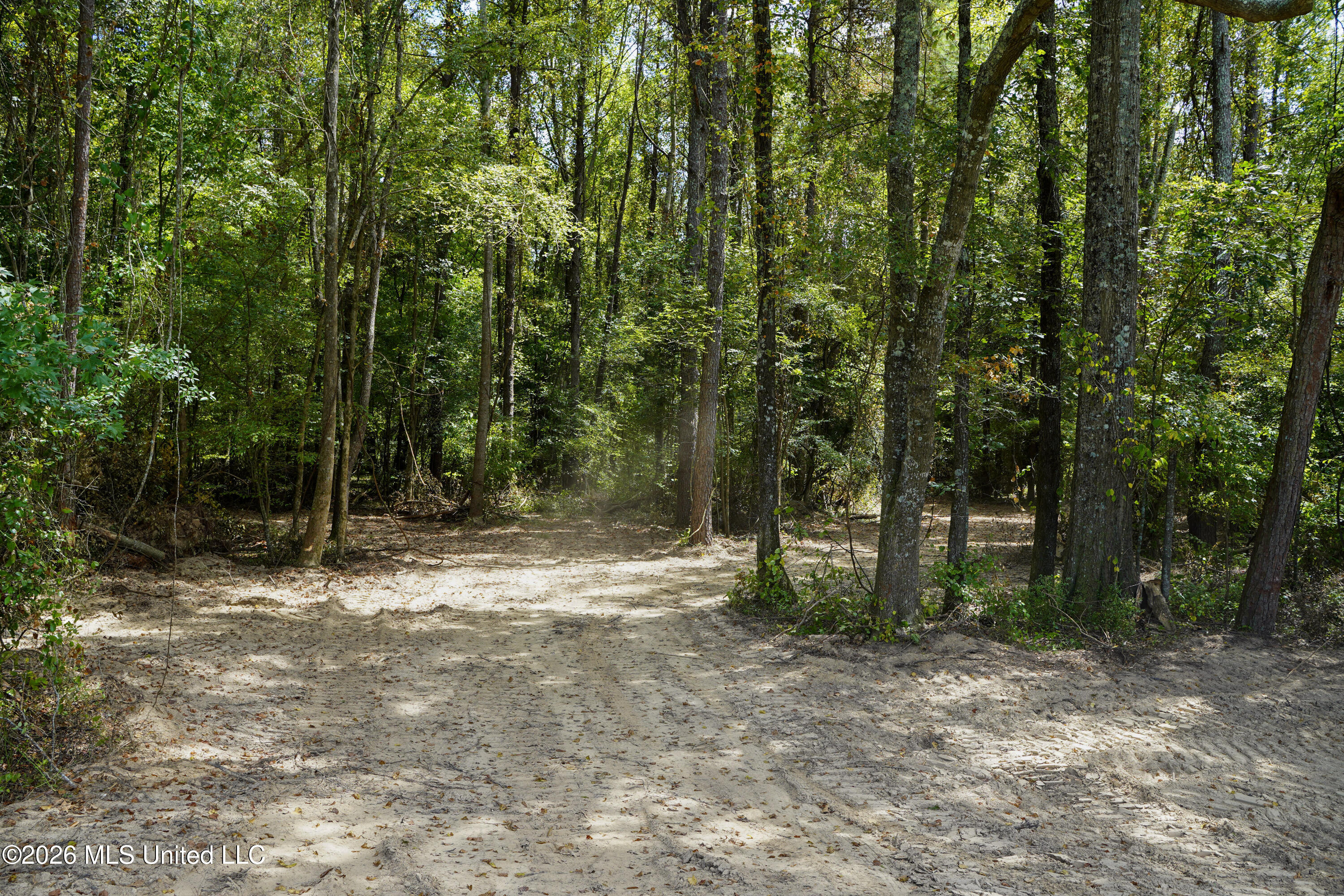 Mcintyre Road Brandon, MS 39042 - Photo 72 of 100 96-DSC08700