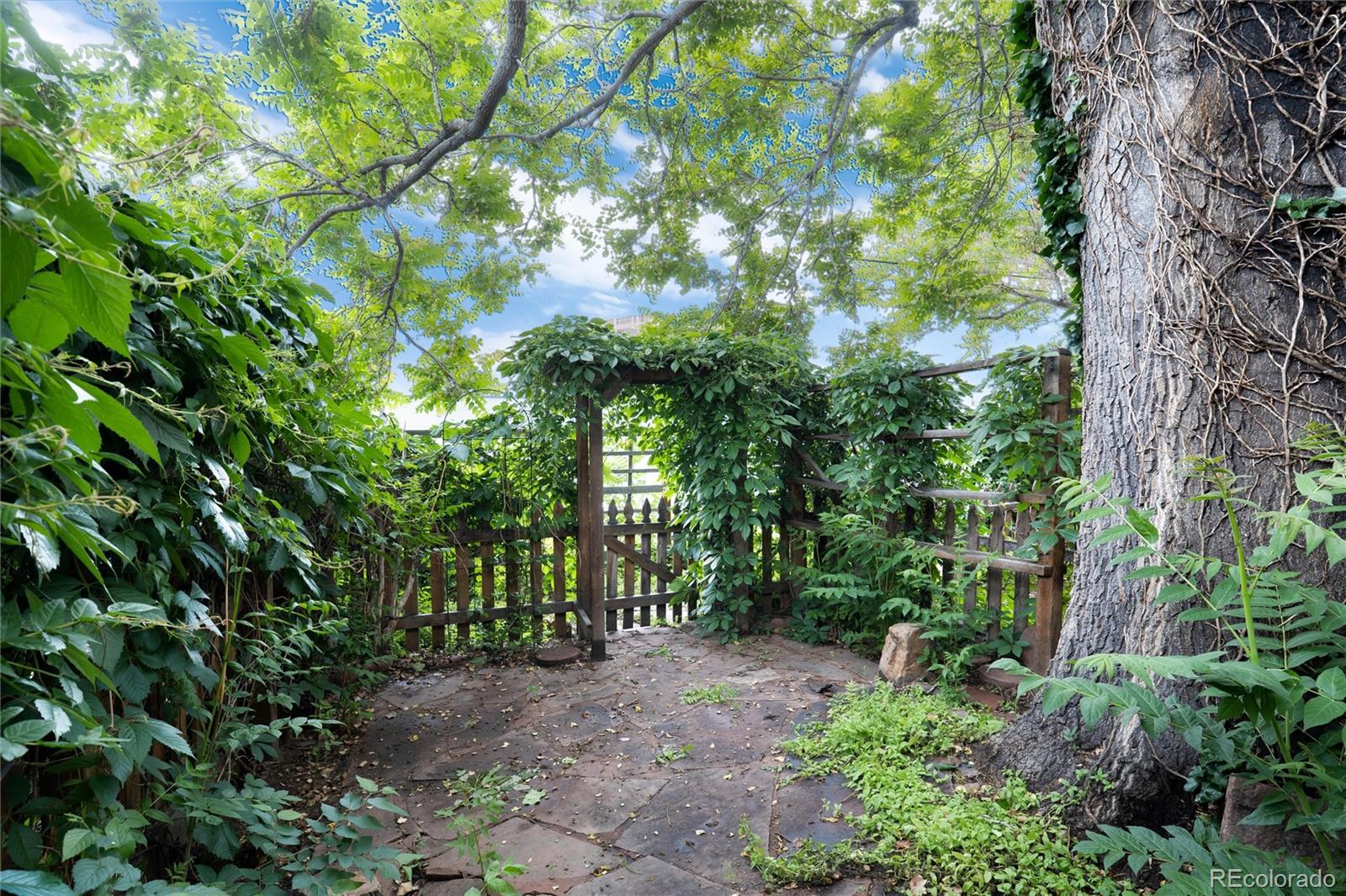 549 Logan Street Denver, CO 80203 - Photo 14 of 14 a view of a garden with plants and trees