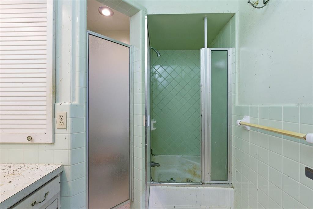 2310 Harrison Drive Dunedin, FL 34698 - Photo 30 of 42 a bathroom with a shower and a sink