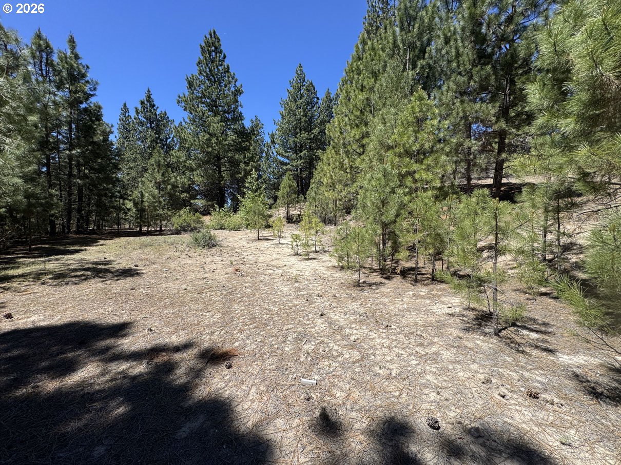 Friendship Drive, Unit 12 Chiloquin, OR 97624 - Photo 18 of 28