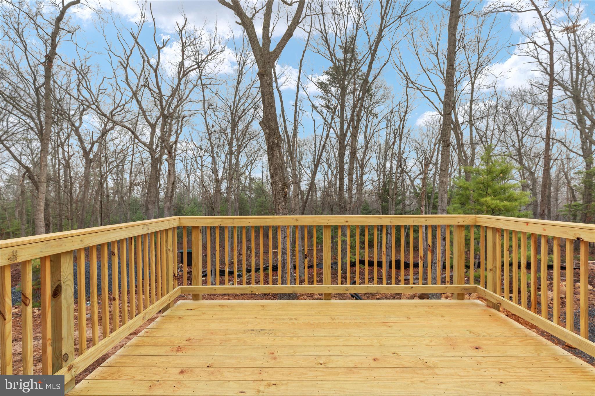 Bushy Ridge Star Tannery, VA 22654 - Photo 13 of 38 views back deck