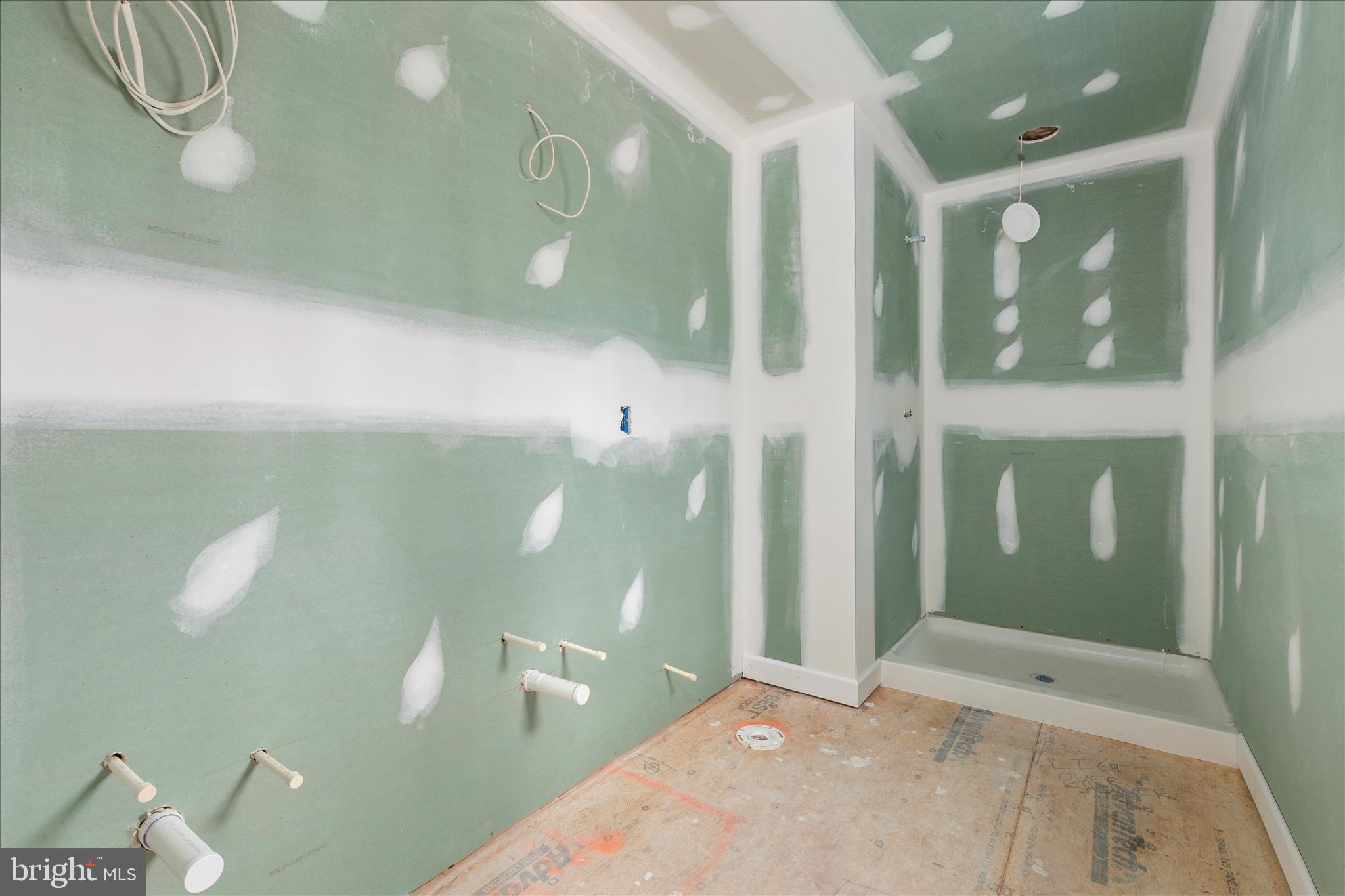 Bushy Ridge Star Tannery, VA 22654 - Photo 7 of 38 Primary bath /shower