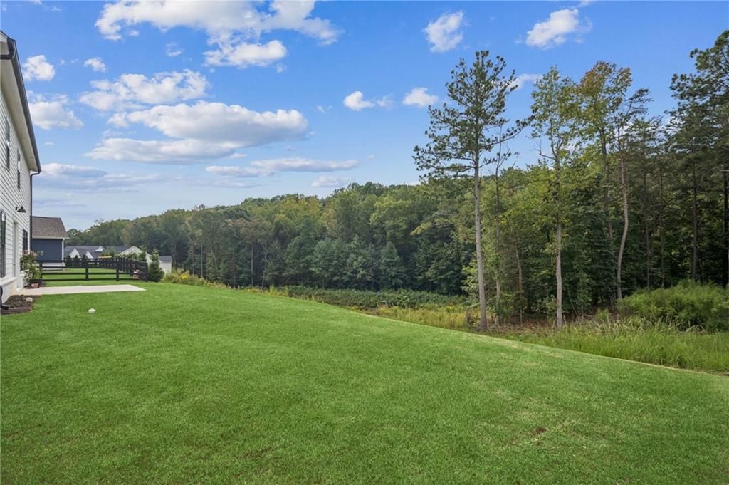 8160 Beryl Overlook Gainesville, GA 30506 - Photo 30 of 36