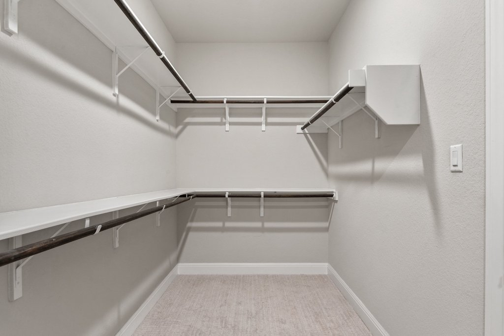 4229 Borho Ranch Street Leander, TX 78641 - Photo 28 of 40 Walk in closet featuring light colored carpet