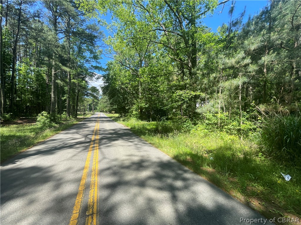 16-ac Ridge Road Cobbs Creek, VA 23035 - Photo 11 of 43 View of street