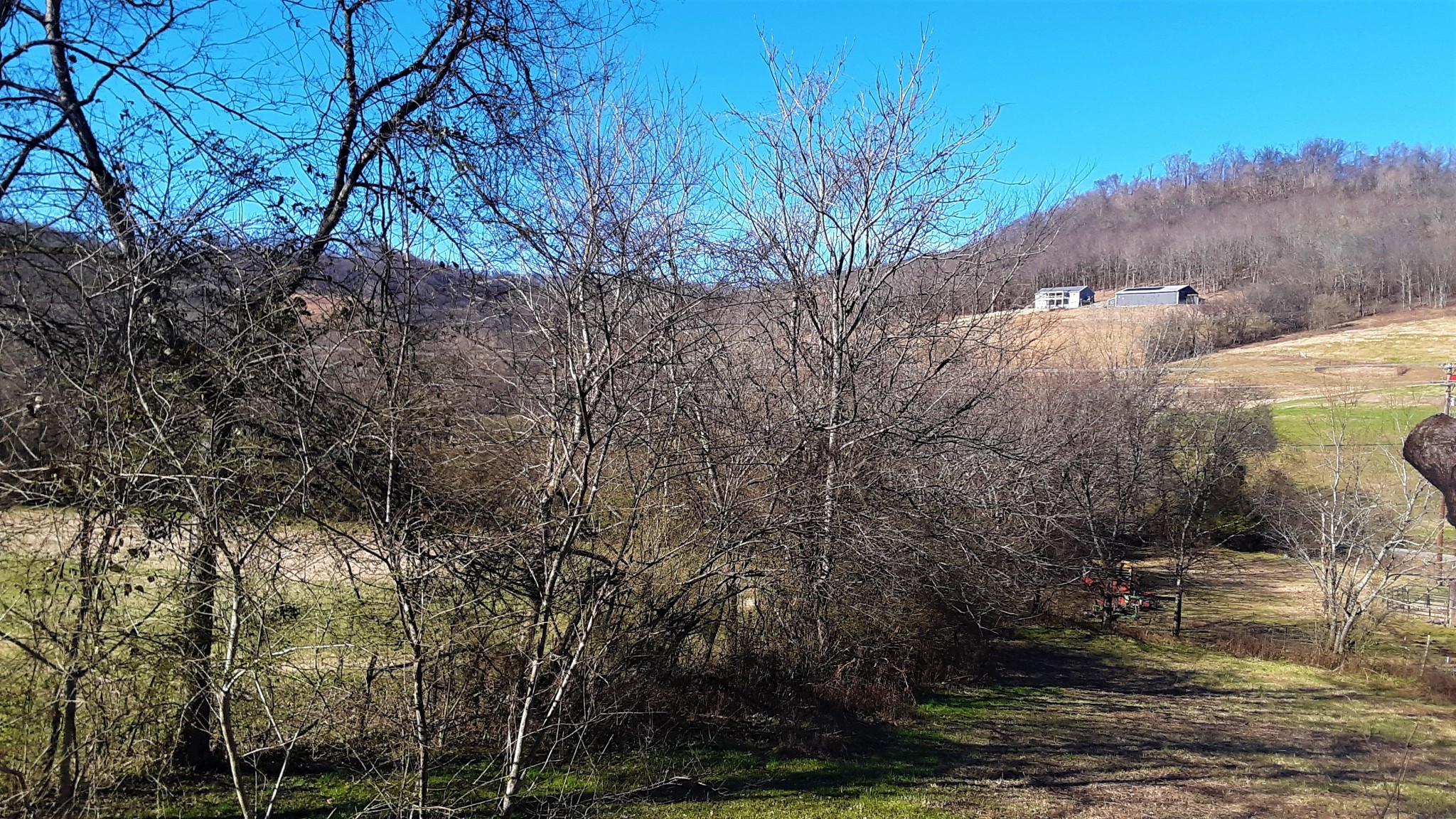 57 Turkey Creek Road Carthage, TN 37030 - Photo 8 of 28 Gallery Image 8