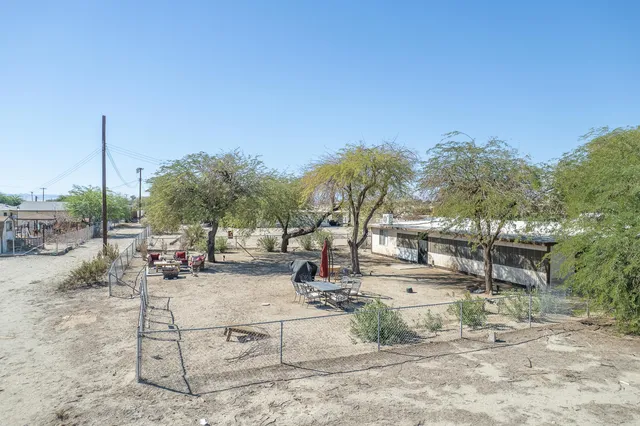 a view of a tree in the middle of a yard