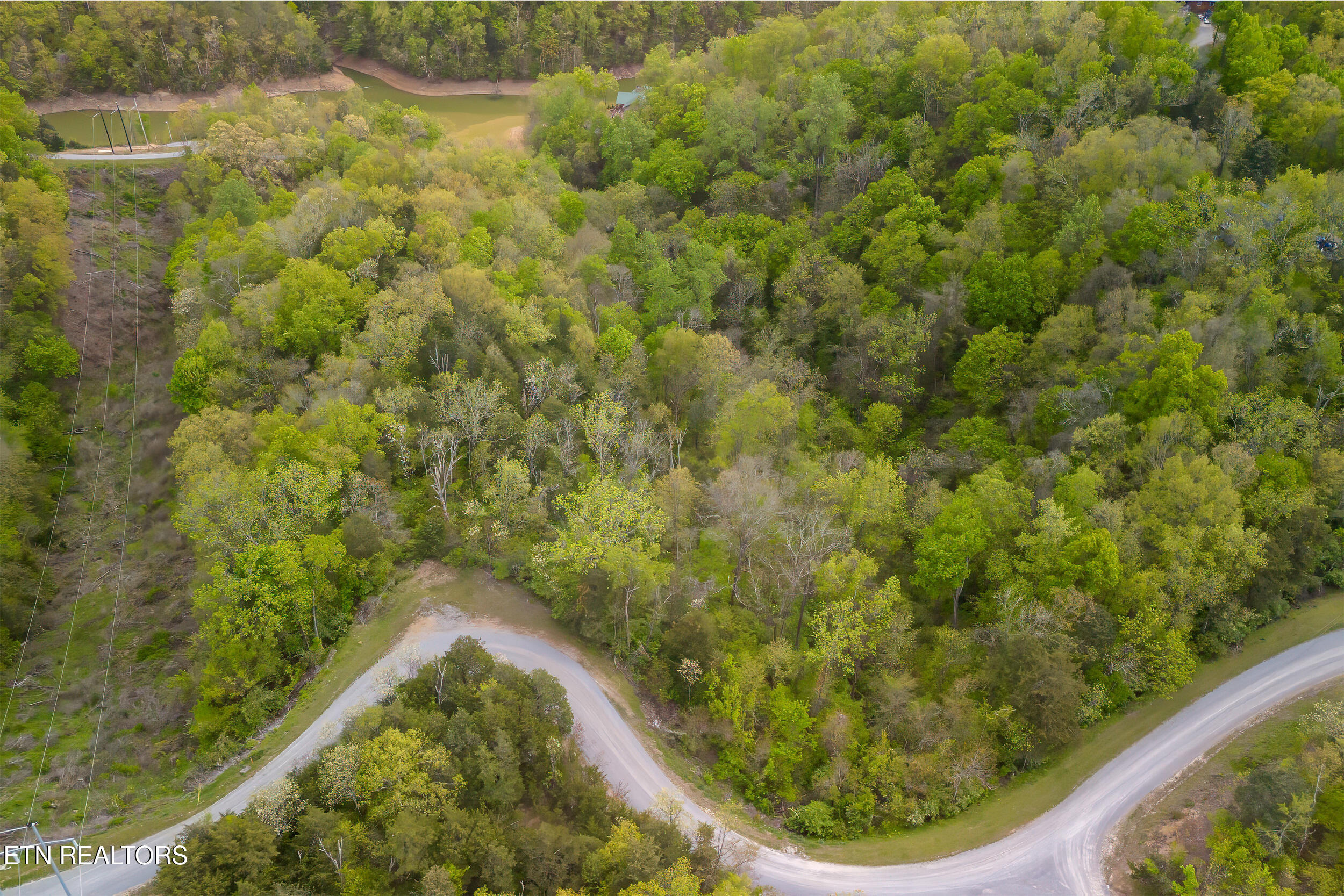 Cove Way Newport, TN 37821 - Photo 5 of 11 3_dro001